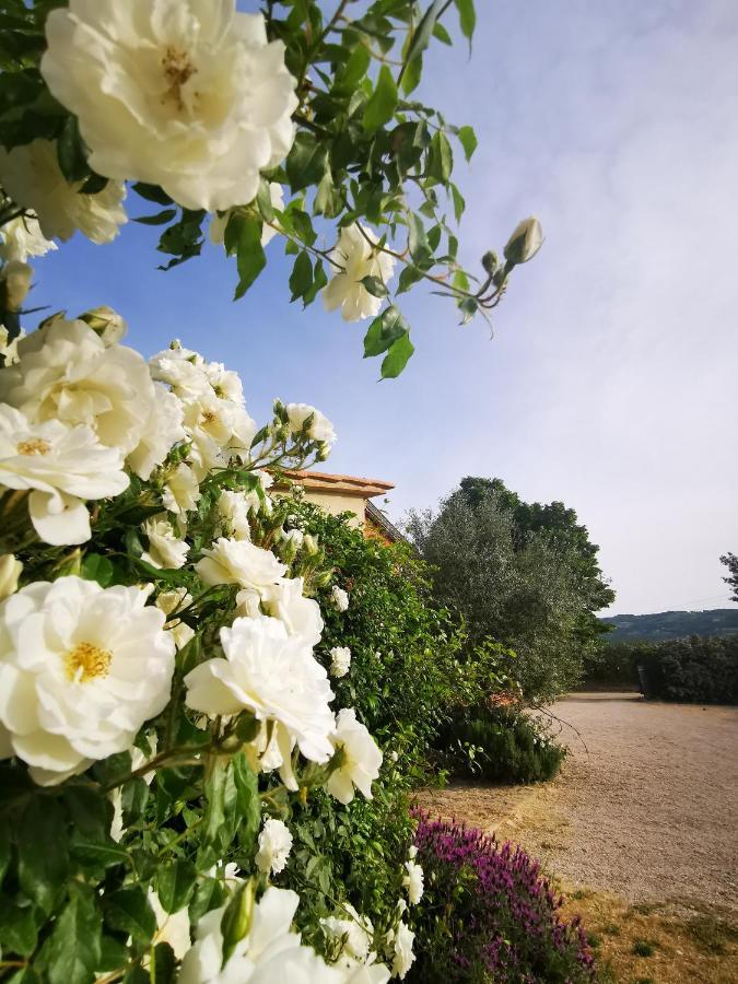 La Casa Dei Tigli * Cannara