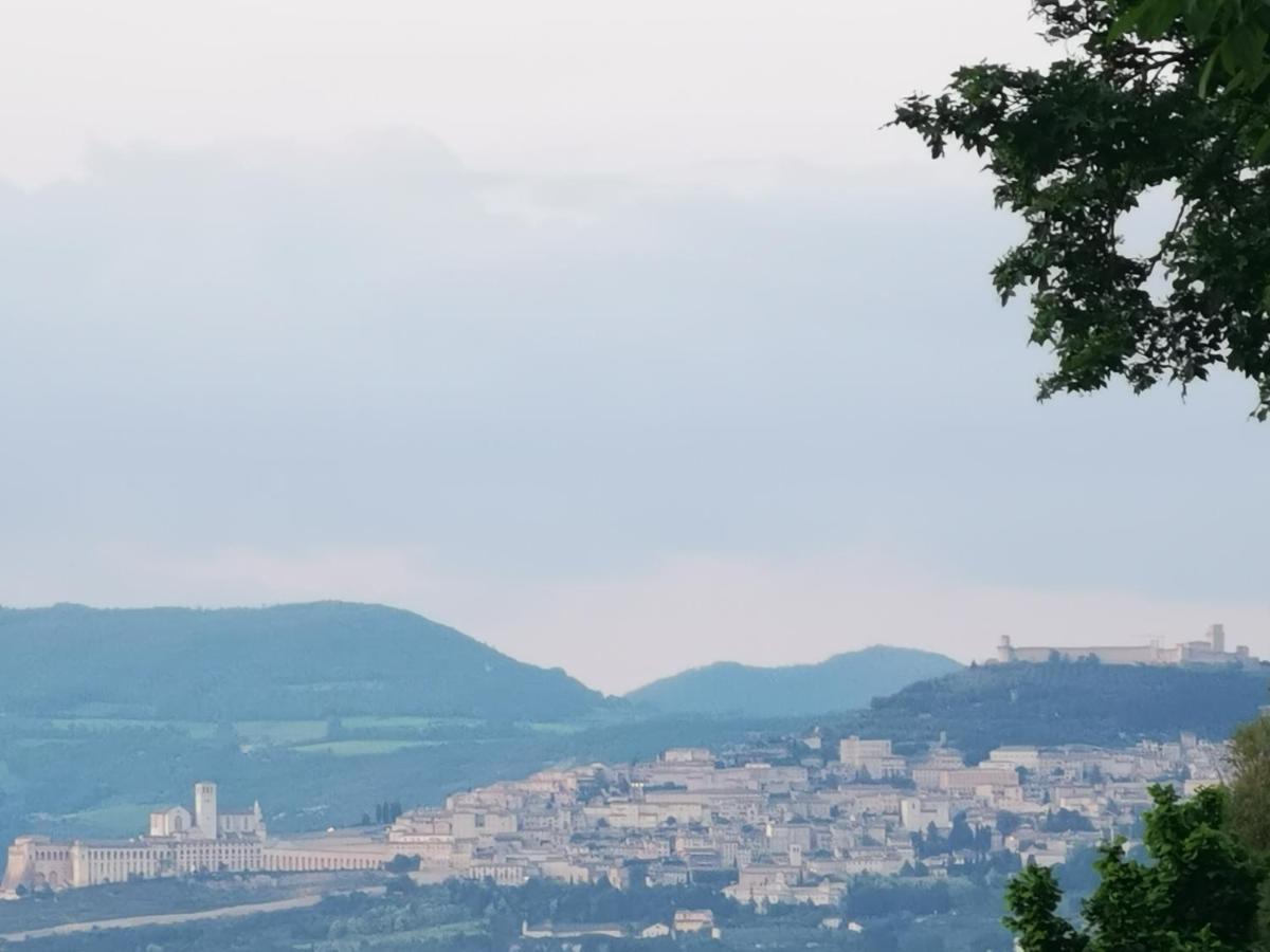 La Casa Dei Tigli Cannara