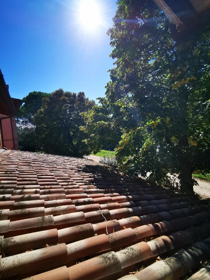 La Casa Dei Tigli * Cannara