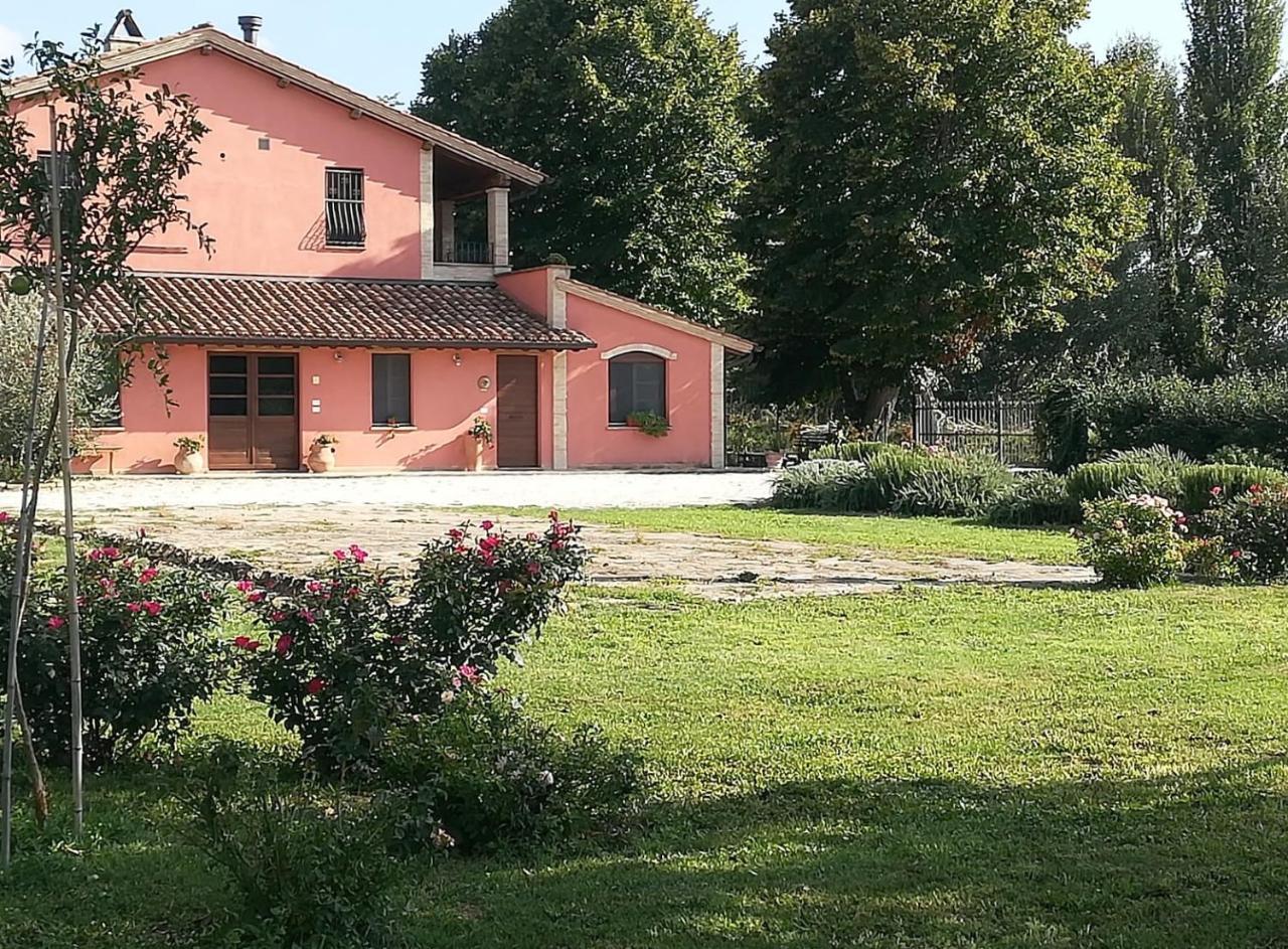 La Casa Dei Tigli *
