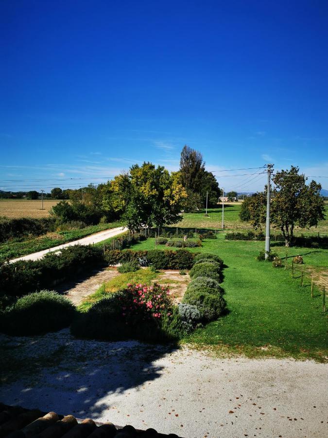 La Casa Dei Tigli Bed and breakfast