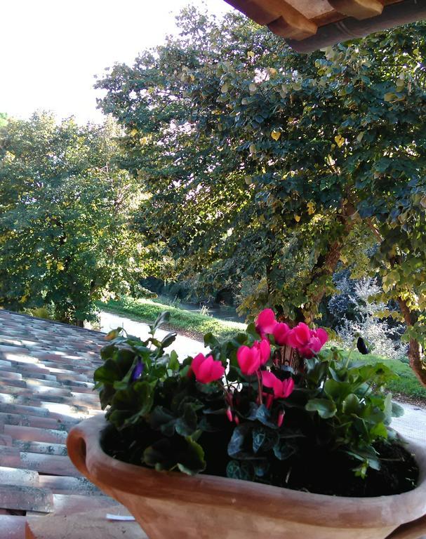 La Casa Dei Tigli Bed and breakfast Cannara